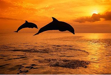 经典战棋游戏《维斯塔利亚传说外传》中文版上线Steam 2022年内推出